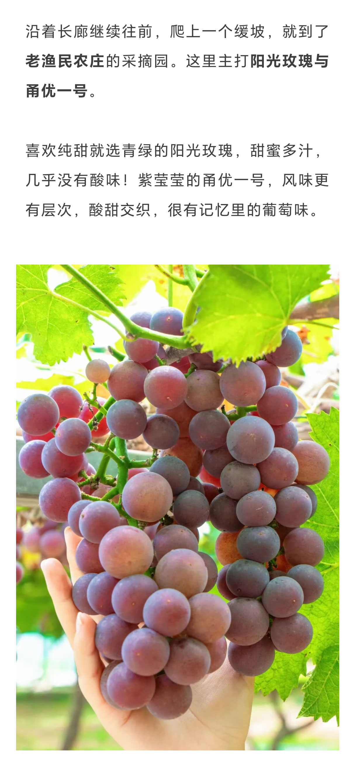 未标题-2_01.jpg