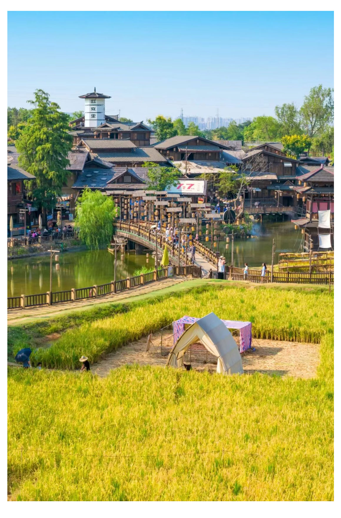 未标题-2_11.jpg