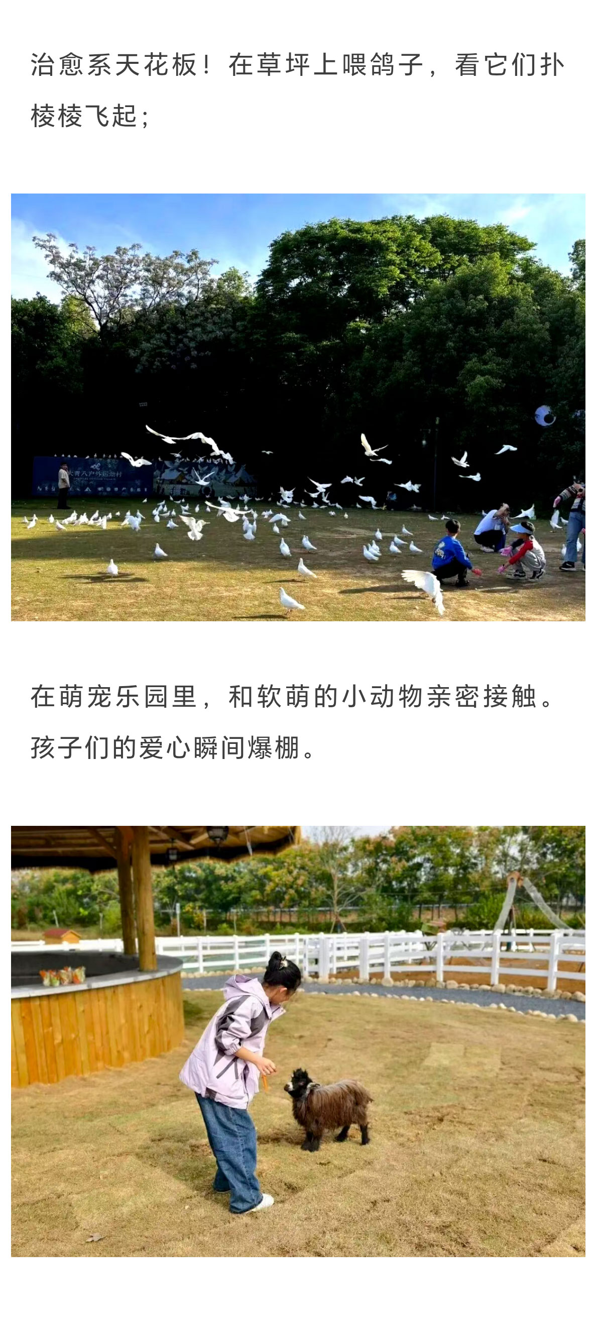 未标题-2_04.jpg