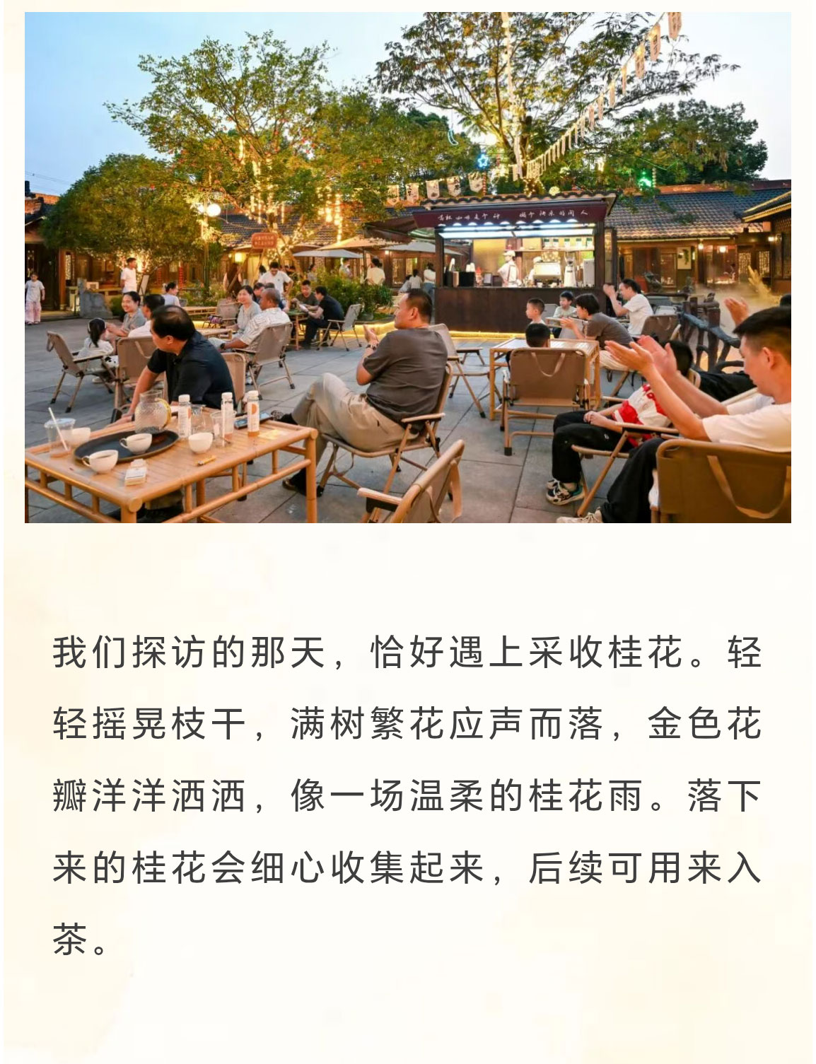 未标题-2_13.jpg