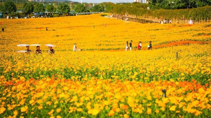 人均¥99起夜宿花博汇花海帐篷民宿，送2张花博汇景区大门票2张，独立卫浴帐篷，免费停车，有效期到11月30日