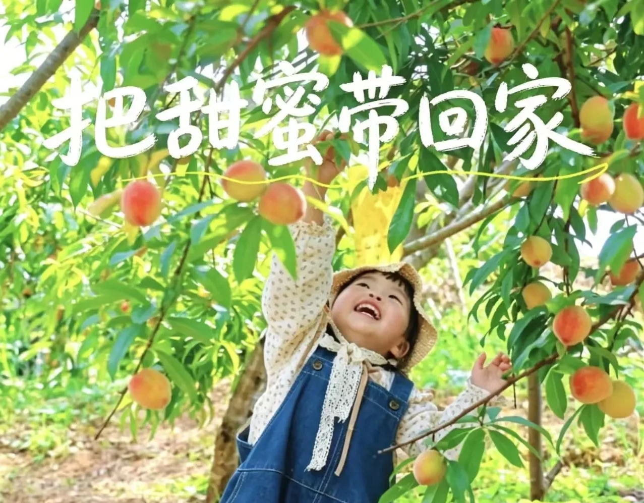【初夏蜜桃季限定】住孝感桃花驿一揽芳华，赏春日桃花采桃品桃，桃源工坊大地艺术手作、烟花、孔明灯祈愿体验！