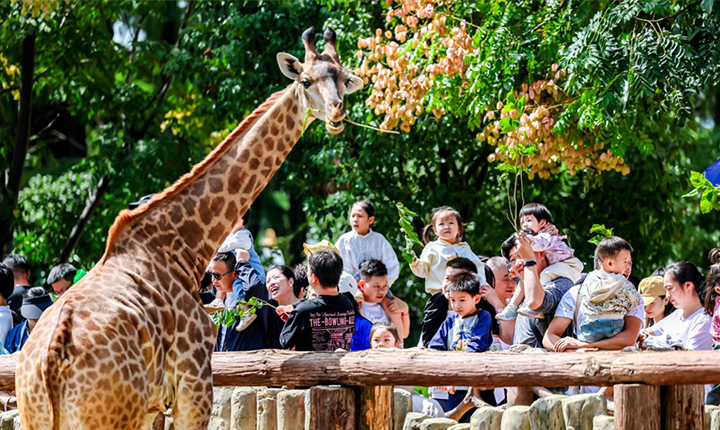 武汉野生动物王国