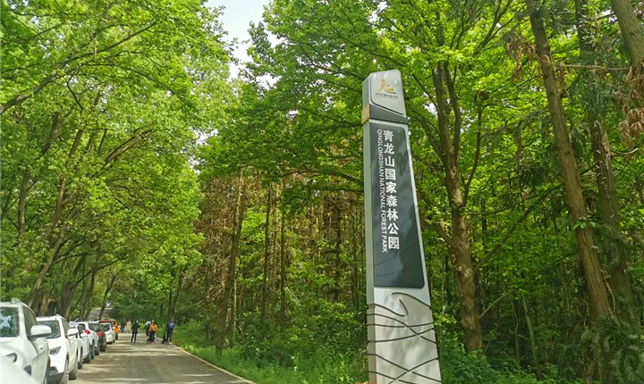 青龙山国家森林公园