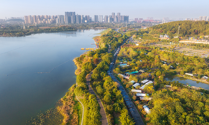 后官湖国家湿地公园（免门票）