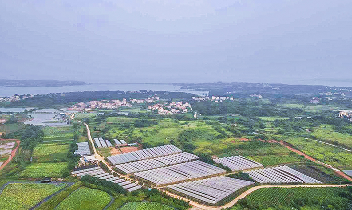 庆丰合作社