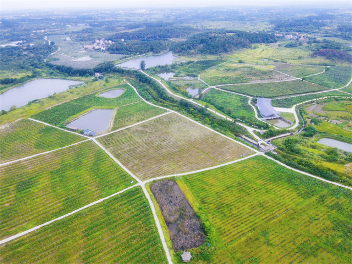绿茵田园