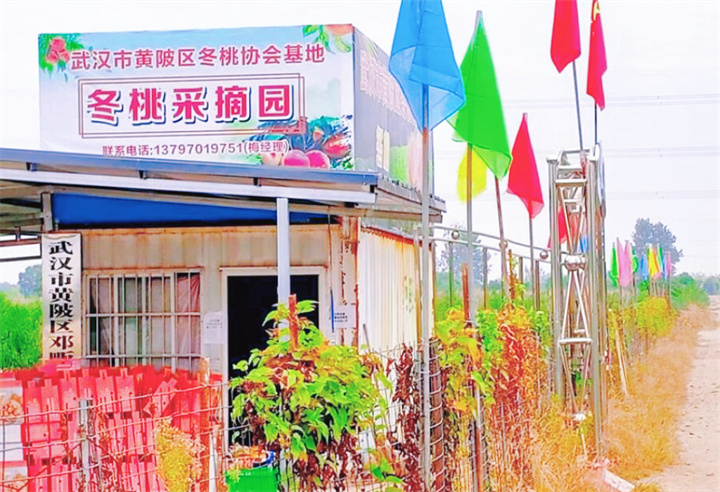 邓畈四民家庭农场