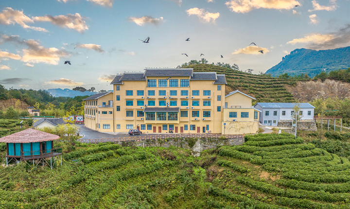 高山避暑 吃住全含/¥169元/人享保康紫云居（金融酒店）单人包吃住套餐，周末暑假不加价，村游限时福利！