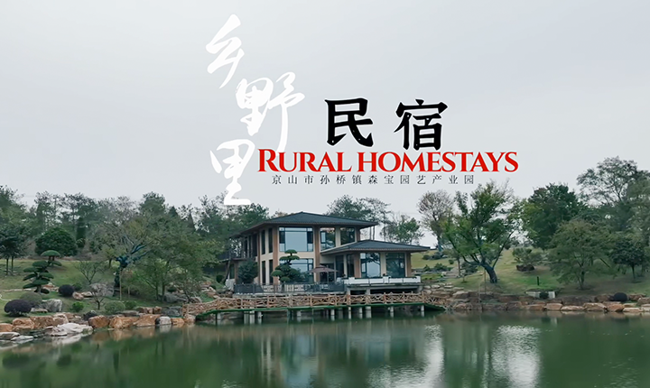 周末不加价/入住【京山乡野里】免费棋牌、周边钓鱼、喝茶、赏对节白蜡园林、杜鹃花、麦田等休闲避世度假！