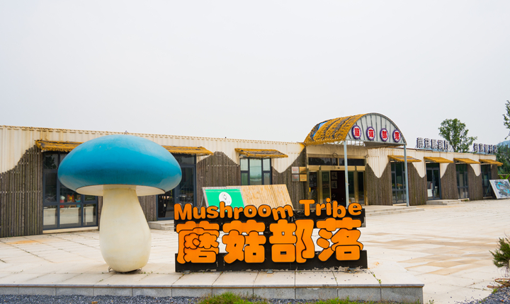 蘑菇部落