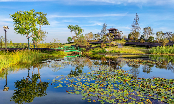 杜公湖国家湿地公园