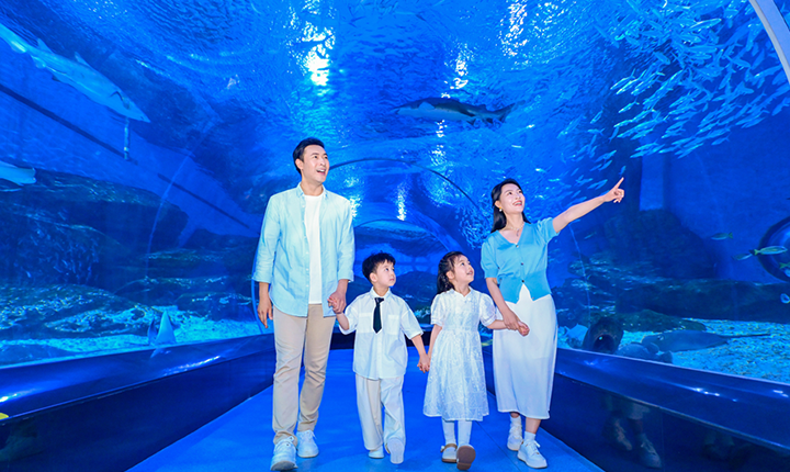 海合安武汉极地海洋度假区