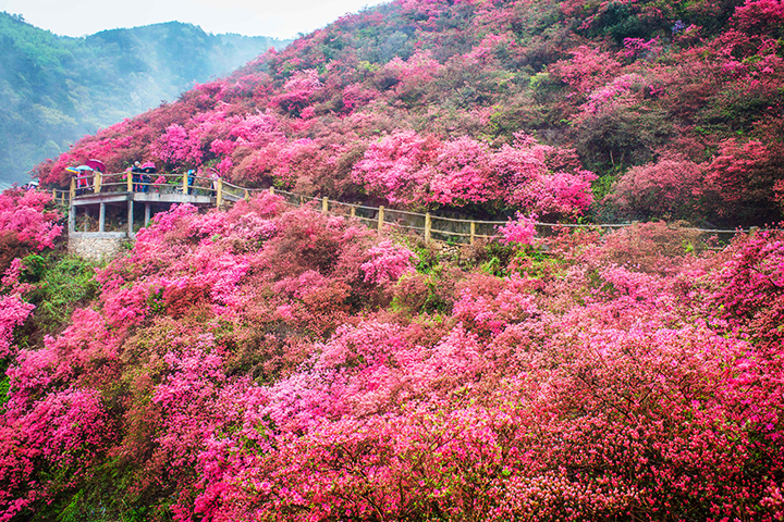 木兰云雾山