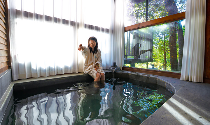 打卡悦兮半岛平层树屋套餐（树屋大床/标间+私汤+围炉煮茶+双人自助早餐+温泉门票）