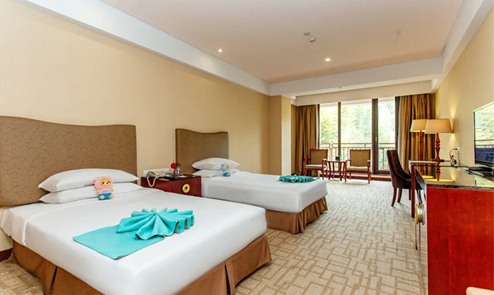 豪华标间（含双早+双温泉票）