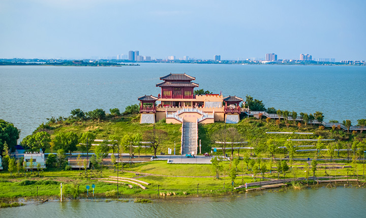 官方活动