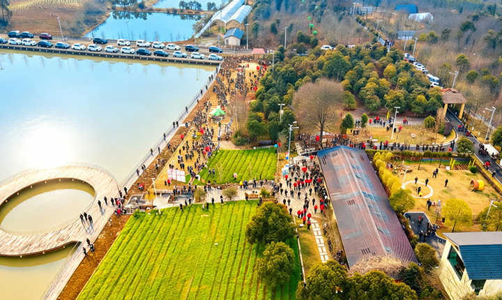 海洋村春节活动 | 逛新春游园会，过儿时热闹年！玩游戏+赢刀币+拍好礼 免费送入园门票