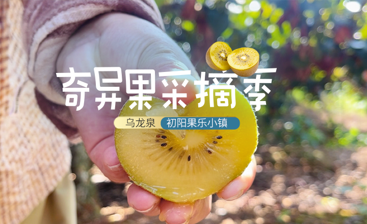 果乐小镇
