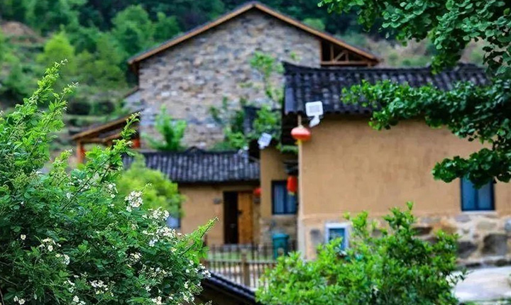 来茯苓窝，住进山野，遇见小确幸