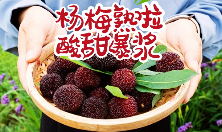 香草花田