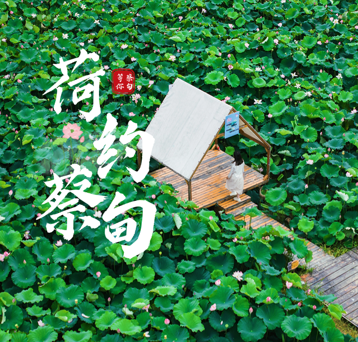十里莲华·养心谷