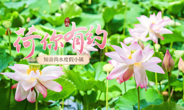 知音尚水度假小镇