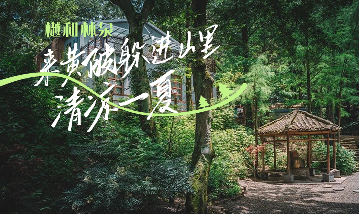 樾和林泉