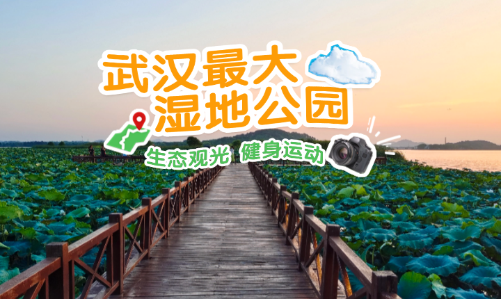 后官湖国家湿地公园