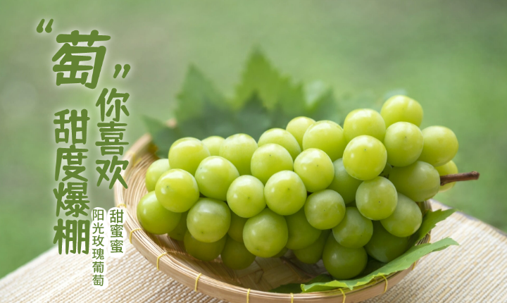 快乐南屏生态果园