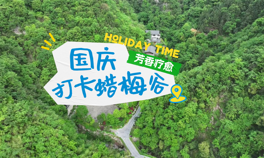 玩转“十一”黄金周 保康处处皆胜景丨打卡蜡梅谷！“芳香疗愈” 新体验，隐居度假好去处……