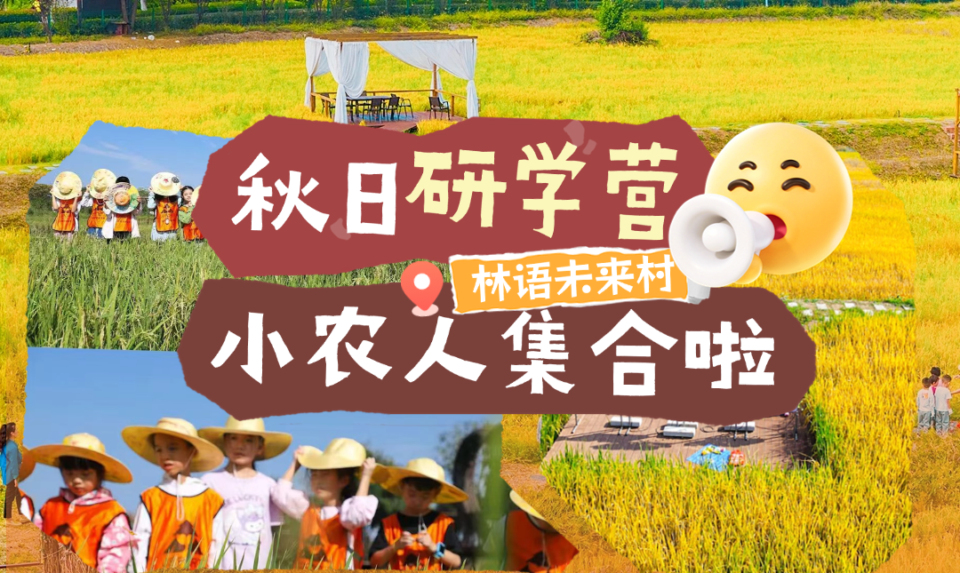 【秋日研学营招募】金色稻浪季，做一日秋收小农人！