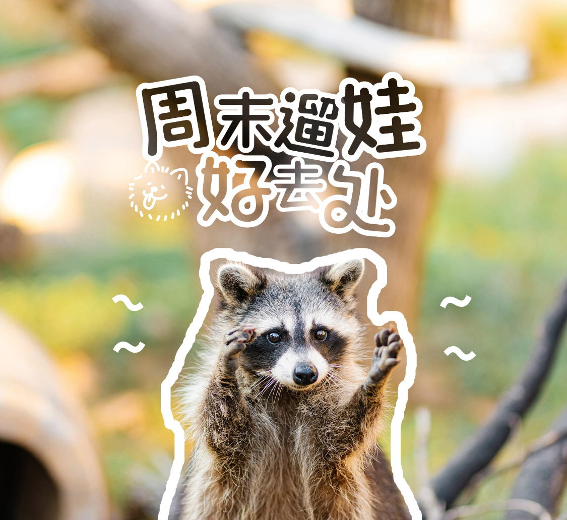 武汉野生动物王国