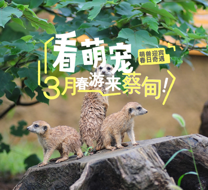 武汉野生动物王国