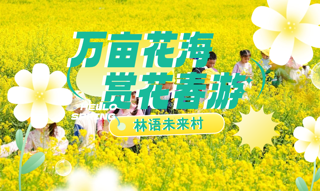 藏不住了！武汉版“有风的地方”2万亩油菜花海即将就位