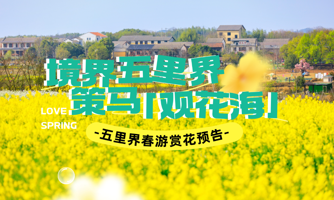 看这里！湖北最美油菜花海，一眼沦陷万亩金黄