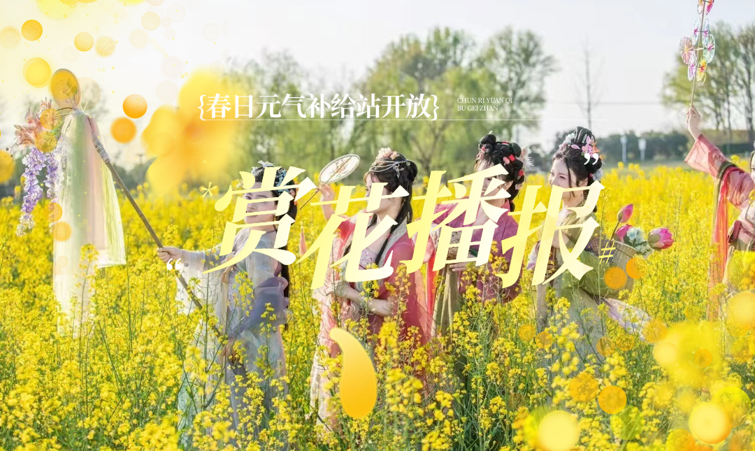 最新花海预告！江夏邀您来赏花~