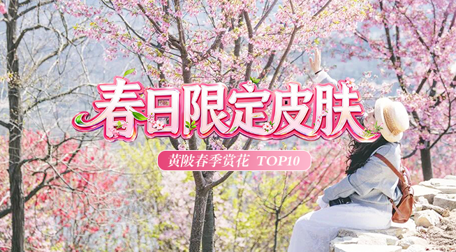 黄陂春季赏花 TOP10，出片率100％！