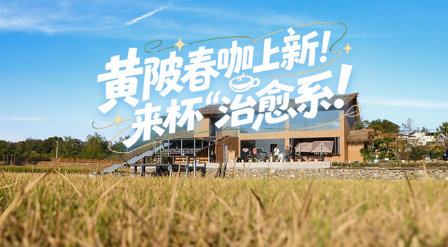 黄陂春咖上新！来杯“治愈系”...