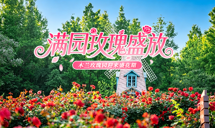 木兰玫瑰园