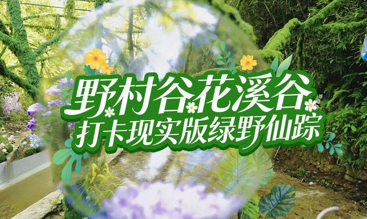 野村谷