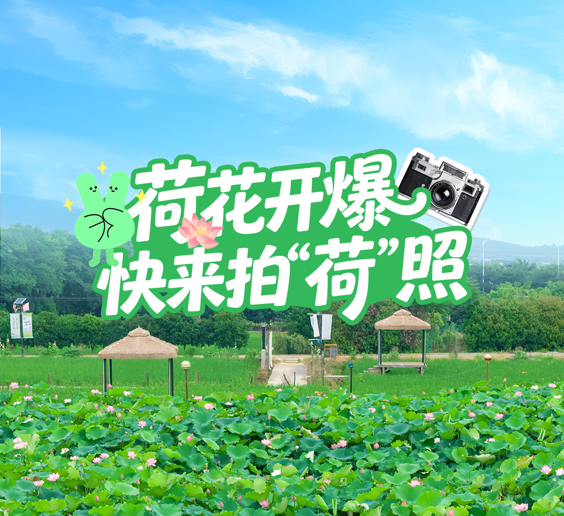十里莲华养心谷