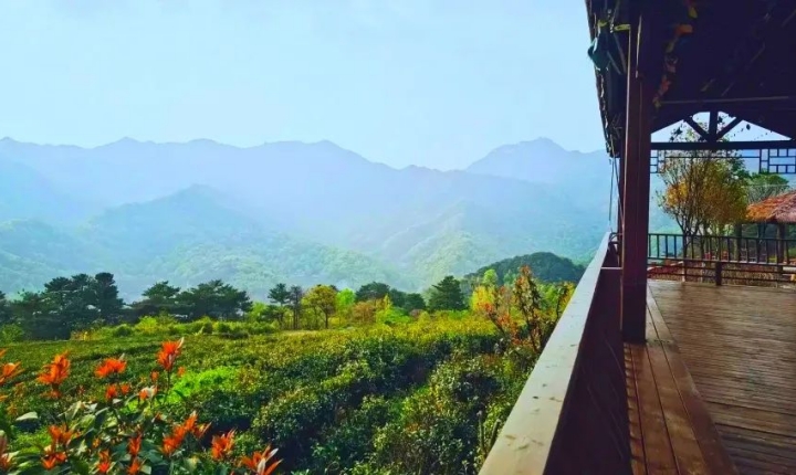 茶园山居之旅：大洪山观山茶园采茶、制茶体验+住观山茶园木屋+ 珍珠泉美丽乡村