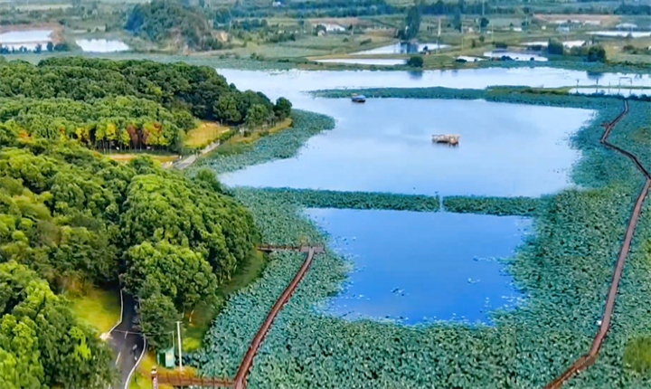漫步在梁子湖生态绿道，打卡火爆全网的鄂州“梅花坞”，观赏旖旎的田园风光