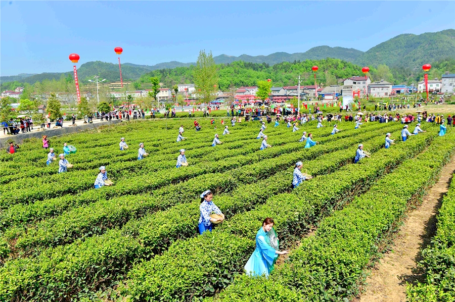 西岭山居