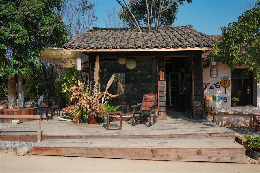 村咖慢生活·文艺打卡一日游｜在老屋、田埂与艺术间，邂逅村咖治愈时光