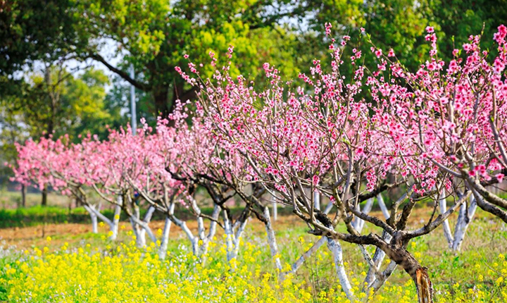 梁子湖葫芦岛房车营地