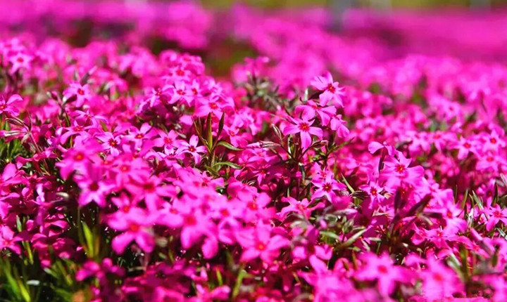 六柱垭生态文化旅游区