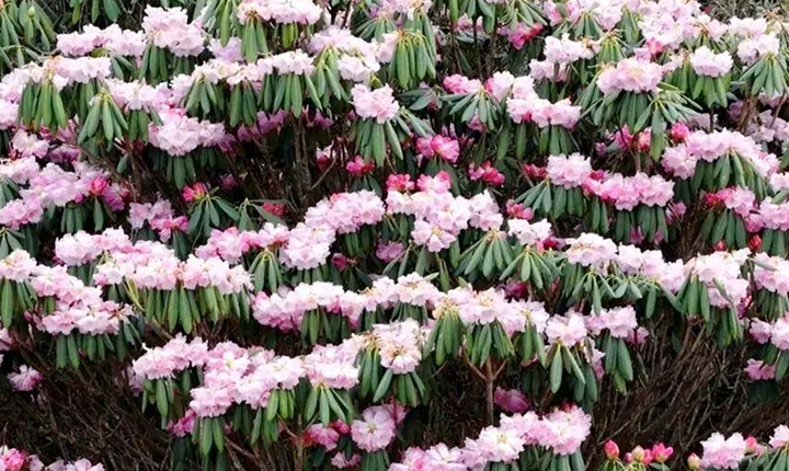 九路寨生态旅游区